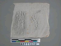 伊藤博文詩文扁額拓片藏品圖，第1張
